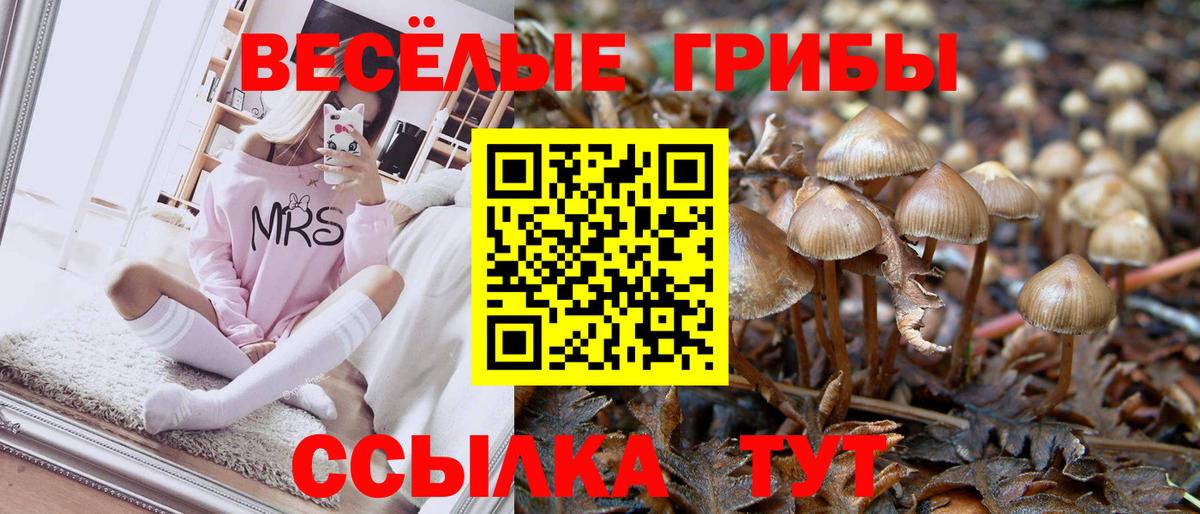 Алексеевка  Галлюциногенные грибы мицелий  Вход с VPN  Галлюциногенные грибы прущие грибы 